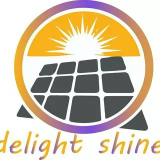 โลโก้ร้าน delight shine