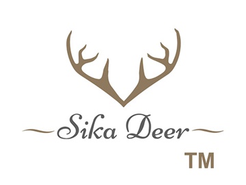 Sika Deer