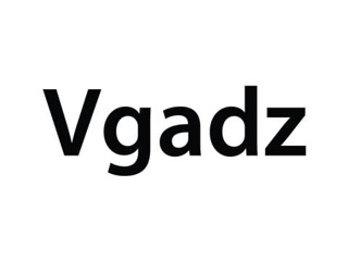 Vgadz