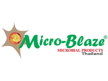 Micro Blaze