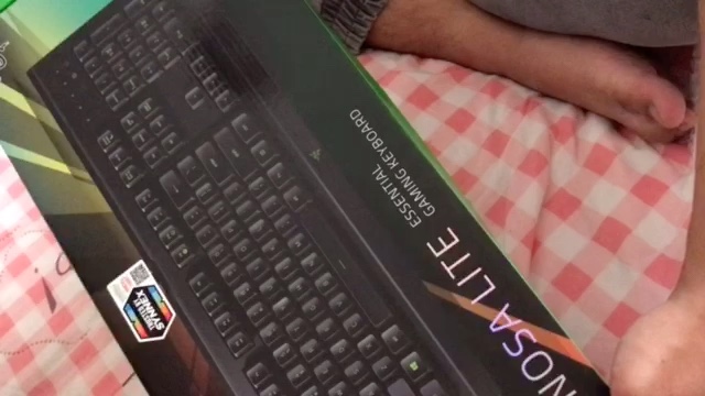 reviewRazer Cynosa Lite Single Zone Chroma RGB Backlighting Spill Resistant Gaming Keyboard คีย์บอร์ดเกมมิ่งTH EN  comment 0