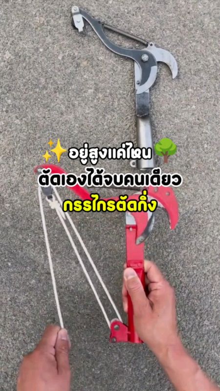 Kéo cắt cành cao, có tay cầm nối dài, kèm cưa..✨🛠️ #kếocắtcành #kếocắtcànhcao #dụngcụcôngtrình #đồcôngtrình #đánhgiátốt #đánhgiánổiTiếng #clipđỉnh #khoánhgiá