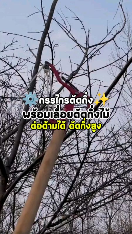 Kéo cắt cành cao, nối tay cầm, có kèm cưa..✨🛠️ #kéo_cắt_cành #kéo_cắt_cành_cao #dụng_cụ_thợ #thiết_bị_thợ #đánh_giá_tốt #đánh_giá_nổi_tiếng #clip_hấp_dẫn_kho_đánh_giá