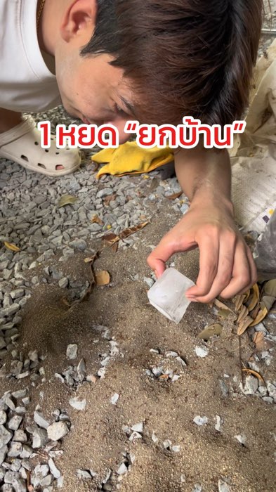 มดหายหมด #เจลกำจัดมด #กำจัดมด #วิธีกำจัดมด #รีวิวเจลกำจัดมด