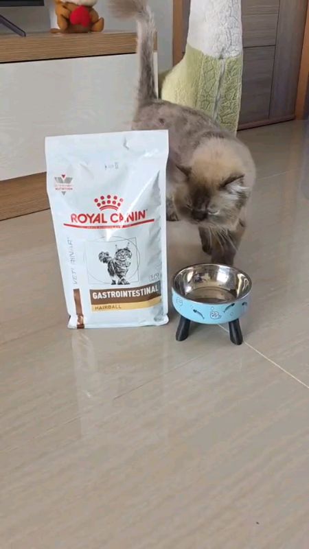 ​#RoyalCanin #Gastrointestinal #แมวมีปัญหาก้อนขน #อาหารแมวRoyalCanin #ดูแลสุขภาพแมว #ของใช้แมว #รีวิวอาหารแมว #ShopeeTH