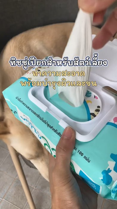 Làm sạch đồng thời dưỡng ẩm💦 #khănướtchóméo #khănướtthúcưng #vảiướtthúcưng #khănướtmèo #shopeenhãnthuốc #đồdùngthúcưng #sudungtotbaotiep