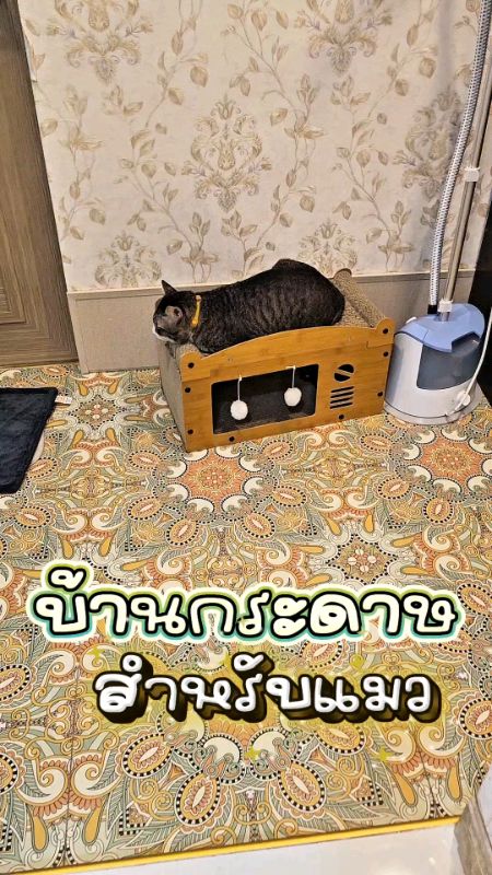 Giá rẻ, dùng tốt #nhà_mèo #nhà_mèo_giấy #đậy_móng_mèo #đường_hầm_mèo #nhà_đậy_móng