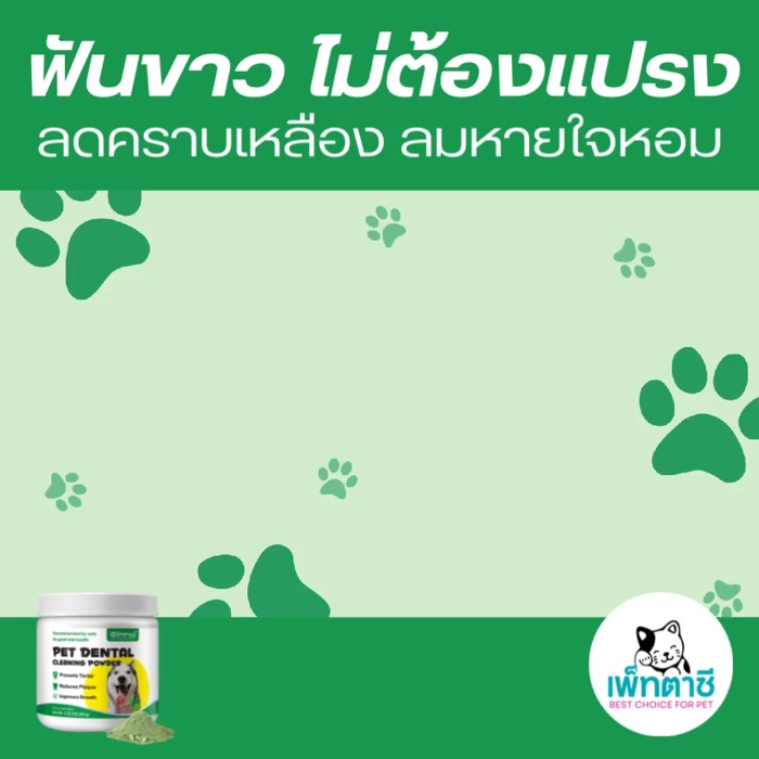 #pettasy #oimmal #สุนัข #dog #pet #สัตว์เลี้ยง #ทาสหมา #รักหมา  #ของใช้หมาแมว