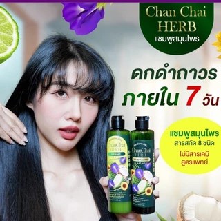Chanchai.H69